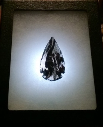 School Point Display - LED Back-lit